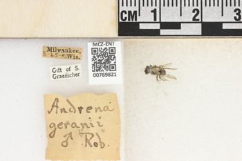 Media type: image;   Entomology 769821 Aspect: Labels